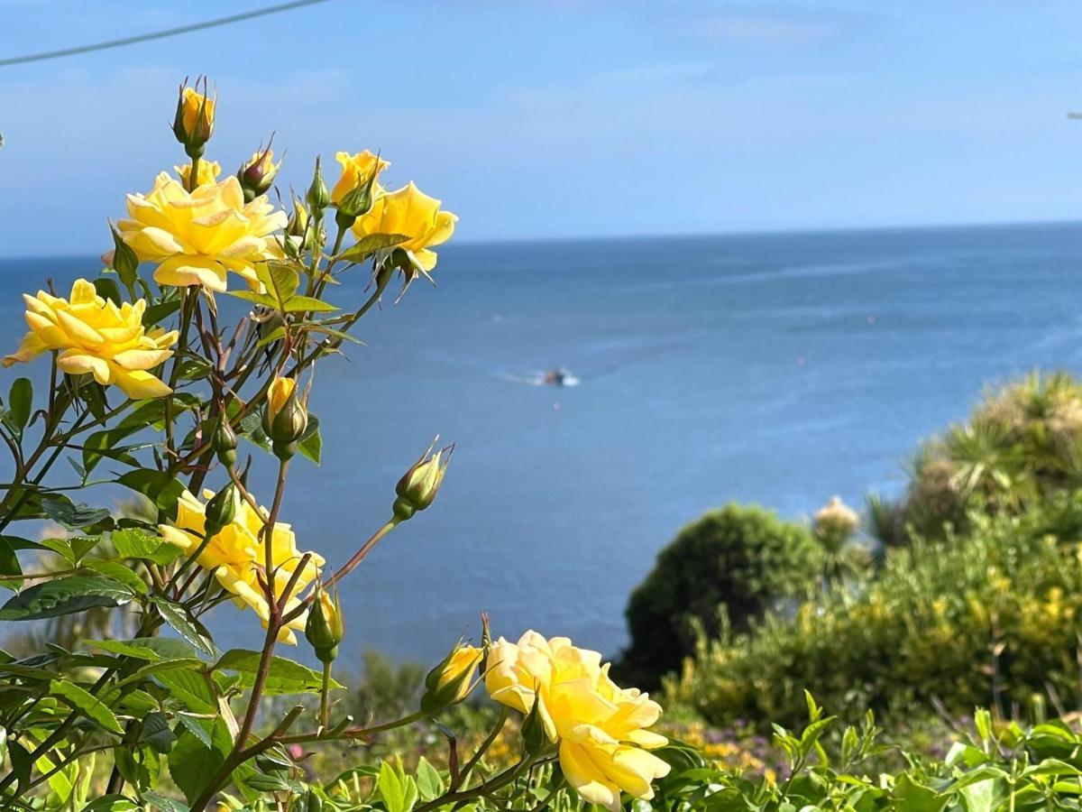 Mousehole Cottage Penzance Buitenkant foto